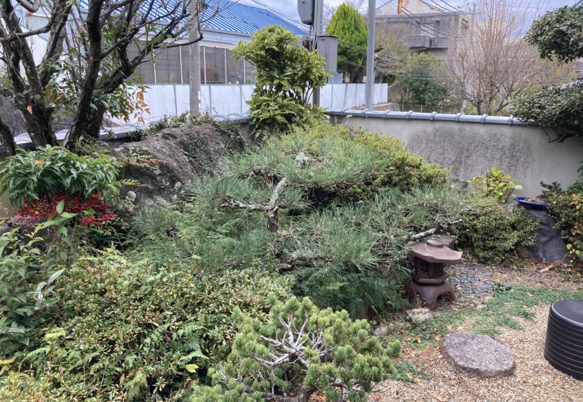 兵庫県西宮市で庭木の剪定の写真