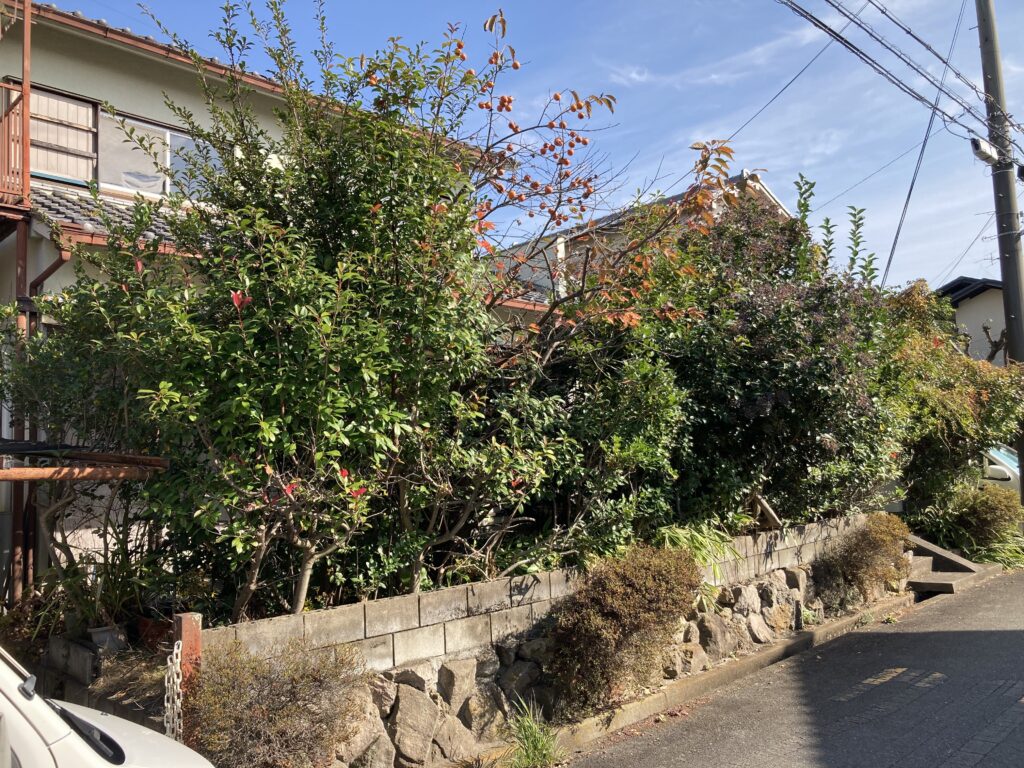 高槻市空き家の庭木剪定前の写真