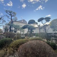 吹田市庭木の剪定