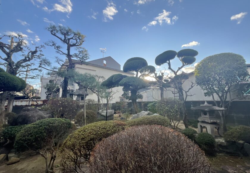 吹田市庭木の剪定