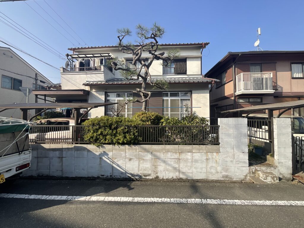 伊丹市松の剪定