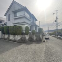 茨木市でコノテガシワの剪定