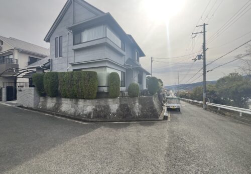 茨木市でコノテガシワの剪定
