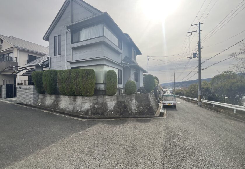 茨木市でコノテガシワの剪定