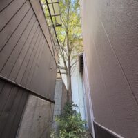 尼崎市高木伐採