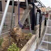 伊丹市で抜根作業