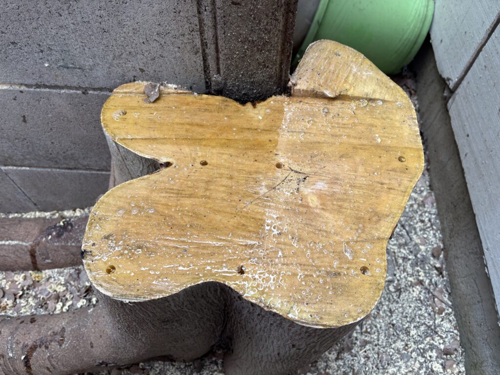 尼崎市高木伐採