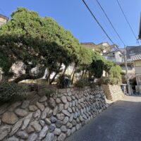 宝塚市で剪定作業