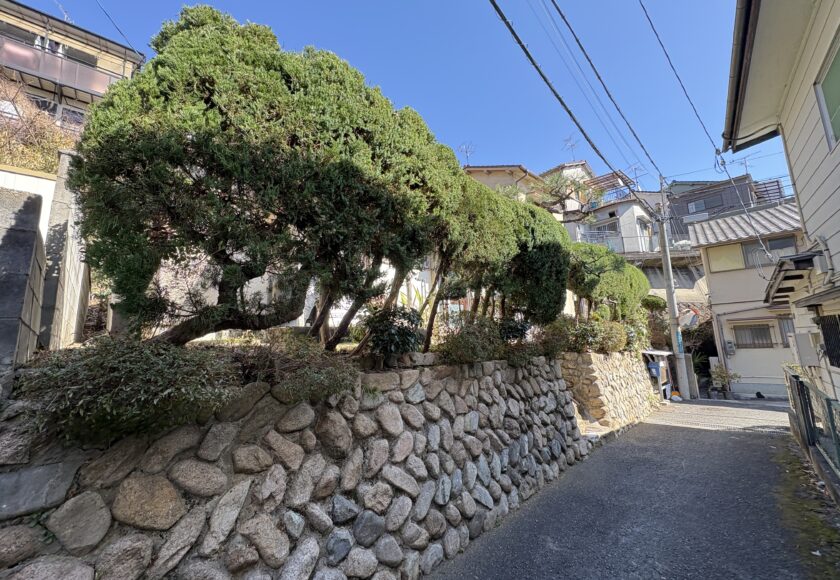 宝塚市で剪定作業