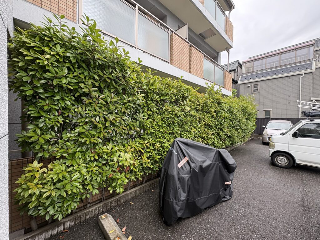西宮市で植木屋によるレッドロビンの生垣剪定前の様子