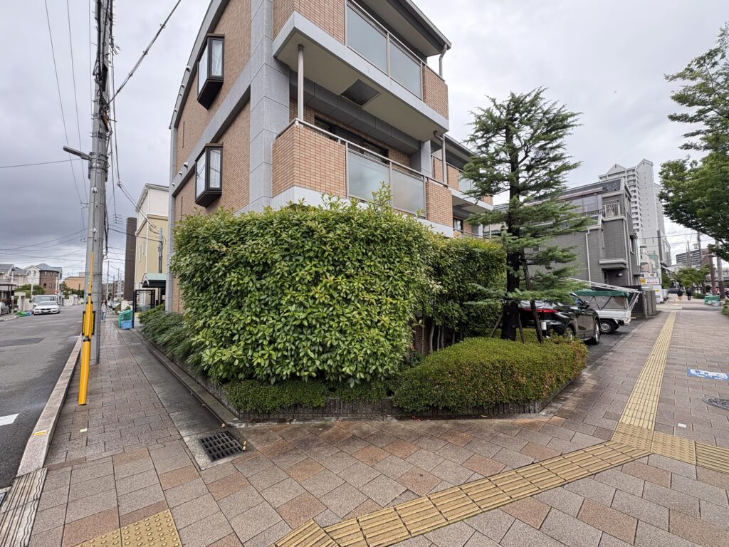 西宮市で植木屋によるマンションのレッドロビン生垣とヒマラヤ杉とさつきの剪定前の様子
