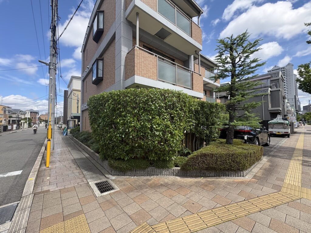西宮市で植木屋によるマンションのレッドロビン生垣とヒマラヤ杉とさつきの剪定後の綺麗になった様子