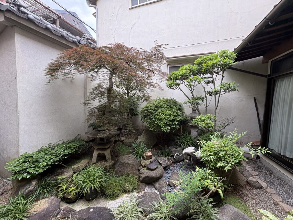 大阪市で植木屋による紅葉・サザンカ・ツツジ・モッコクの剪定作業前の様子
