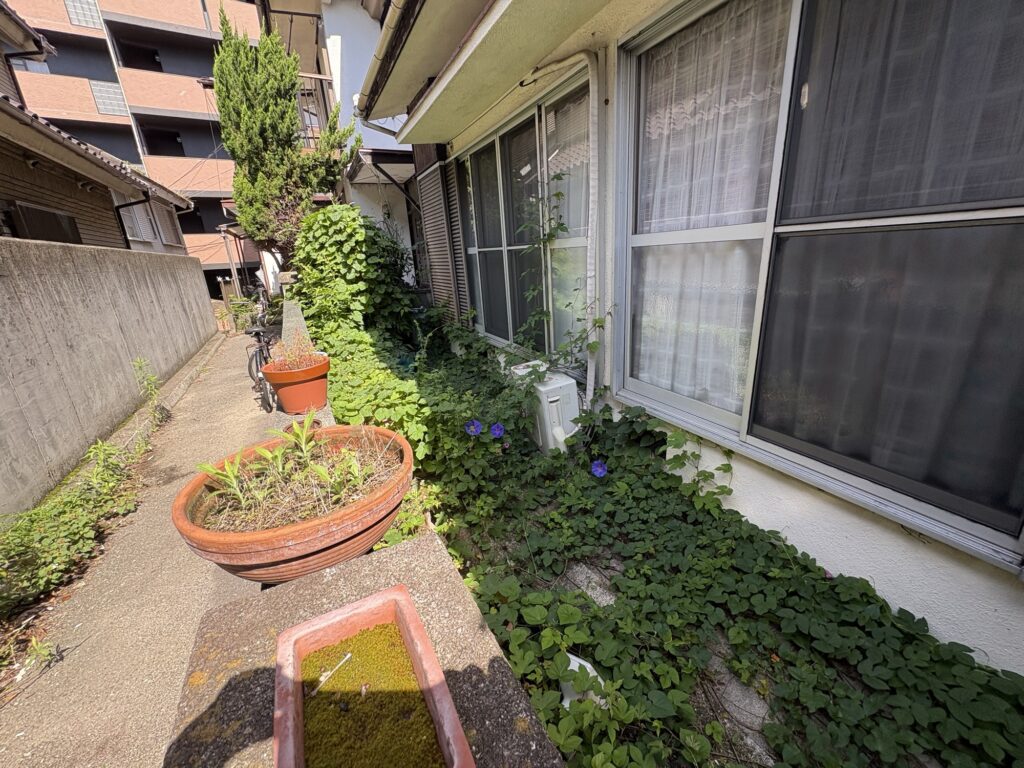 宝塚市で植木屋によるツル・ツタ・草刈りの除草作業前の様子