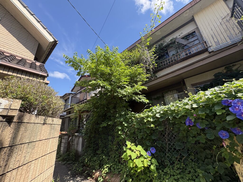 宝塚市で植木屋によるクズ・アサガオ草刈りの除草作業前の様子