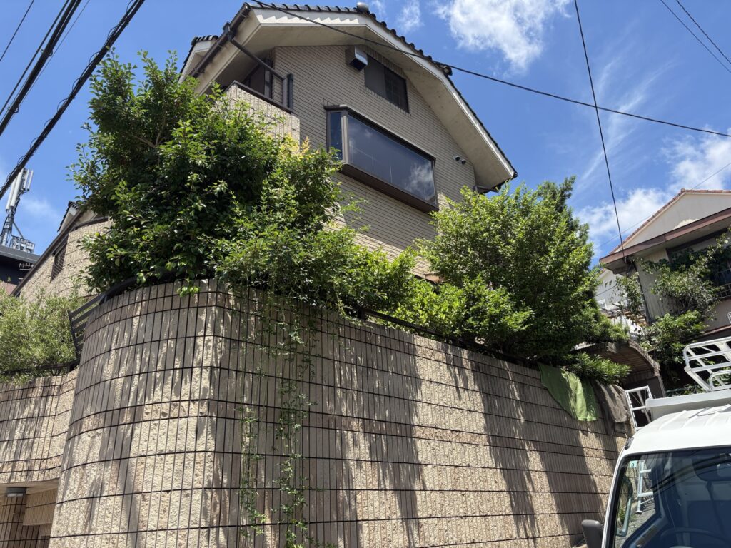 宝塚市で植木屋によるクロガネモチ・サザンカ等庭木の剪定前の様子