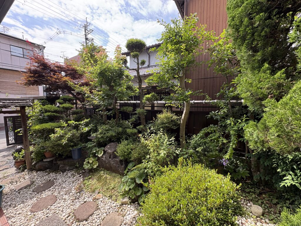 高槻市で植木屋によるサザンカ等庭木の剪定作業前の様子