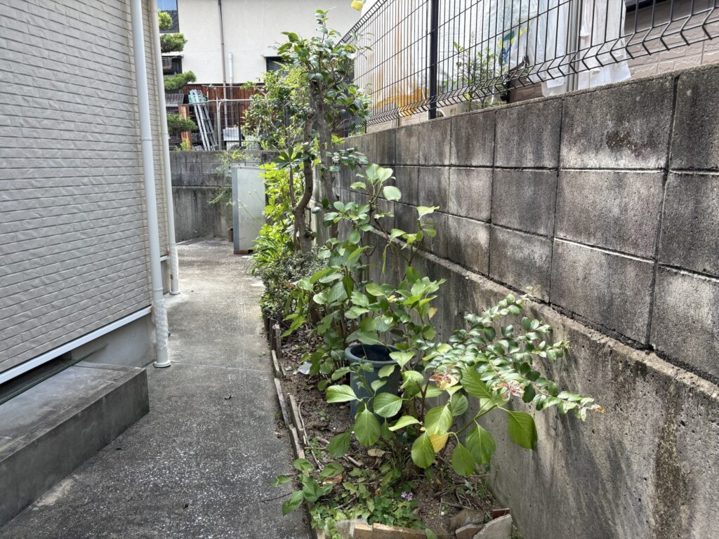 高槻市で植木屋による紫陽花・ツバキ等庭木の剪定作業後の綺麗になった様子
