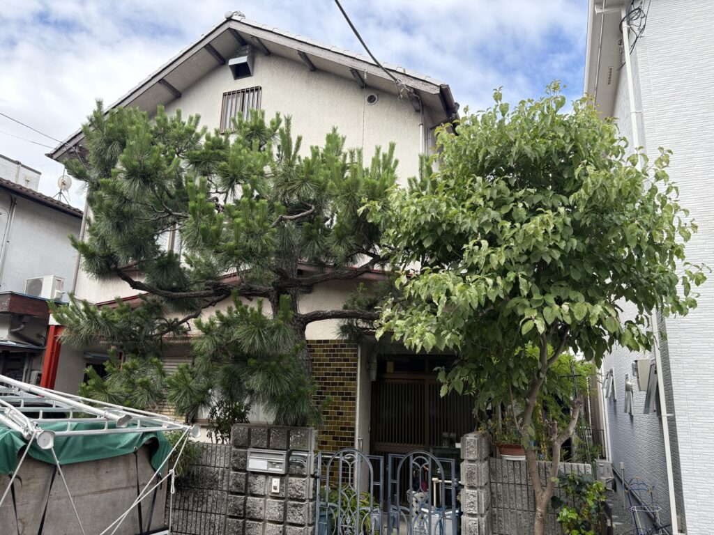 高槻市で植木屋による黒松とハナミズキの剪定前の様子