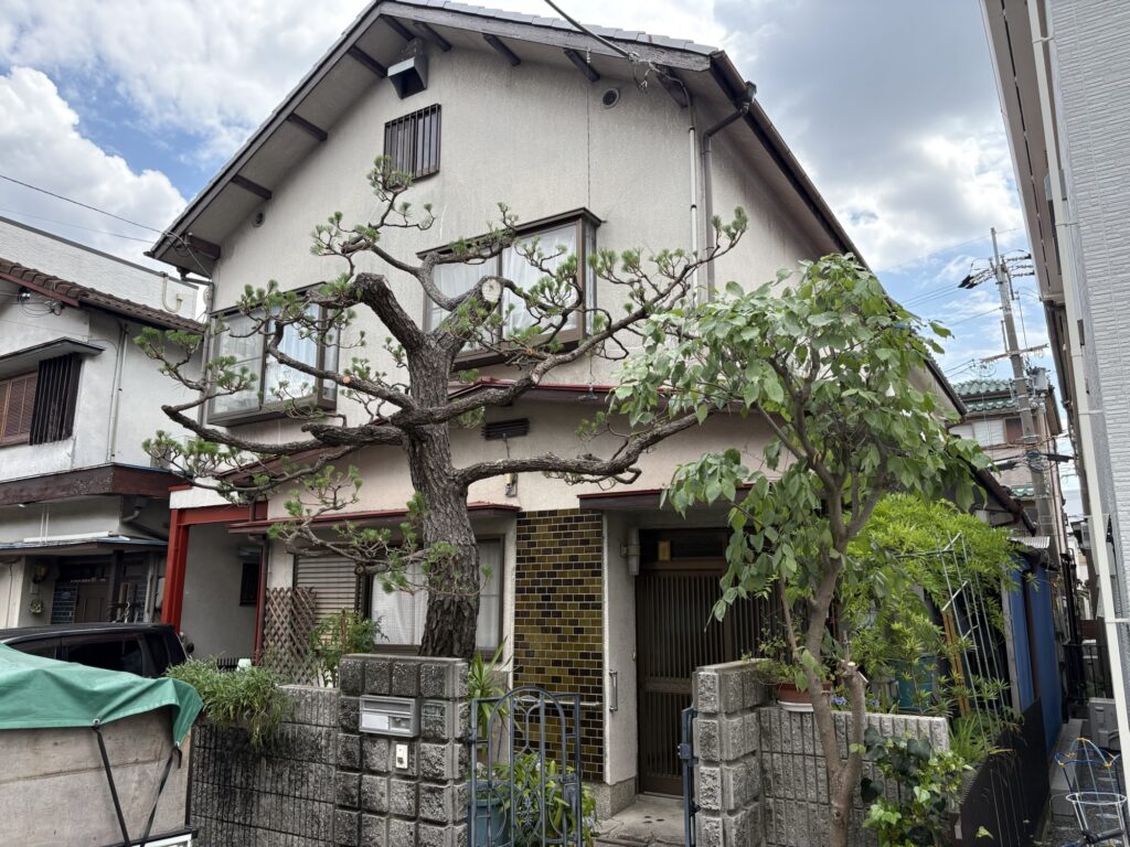 高槻市で植木屋による黒松とハナミズキの剪定後の綺麗になった様子