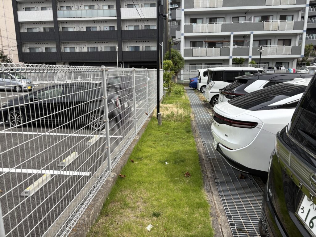 大阪のマンションで植木屋による芝・草刈り・庭木の剪定作業前の様子