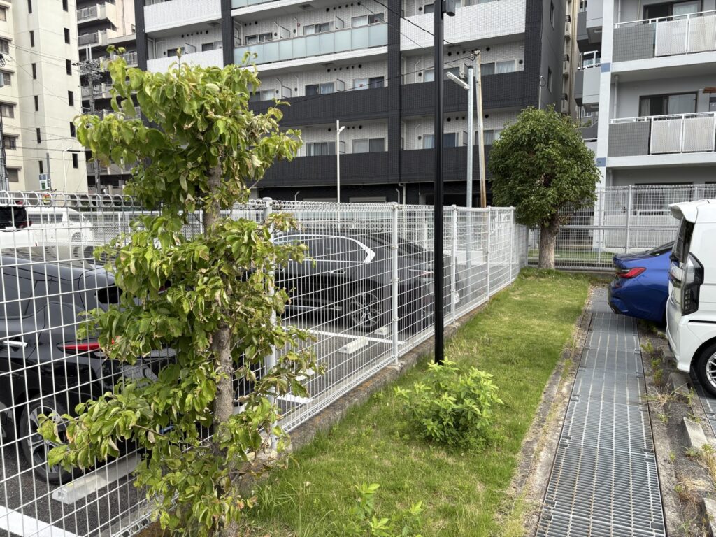 大阪のマンションで植木屋による草刈り・庭木の剪定作業前の様子