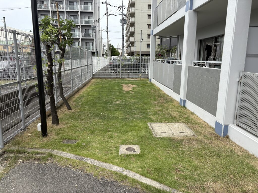 大阪で植木屋によるカルマーを使った草刈り作業後の綺麗になった様子