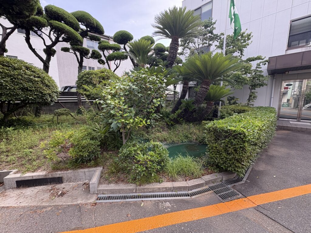 尼崎市で植木屋によるツツジ・サザンカ等庭木の剪定・草刈り作業前の様子