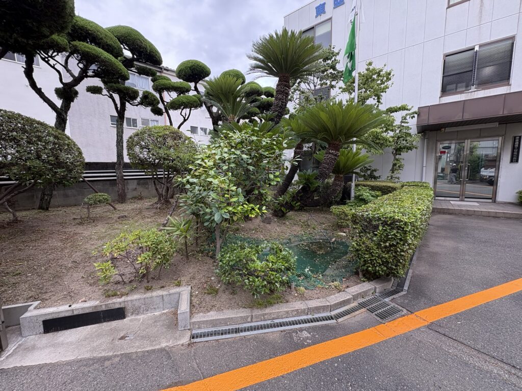 尼崎市で植木屋によるツツジ・サザンカ等庭木の剪定・草刈り作業後の綺麗になった様子