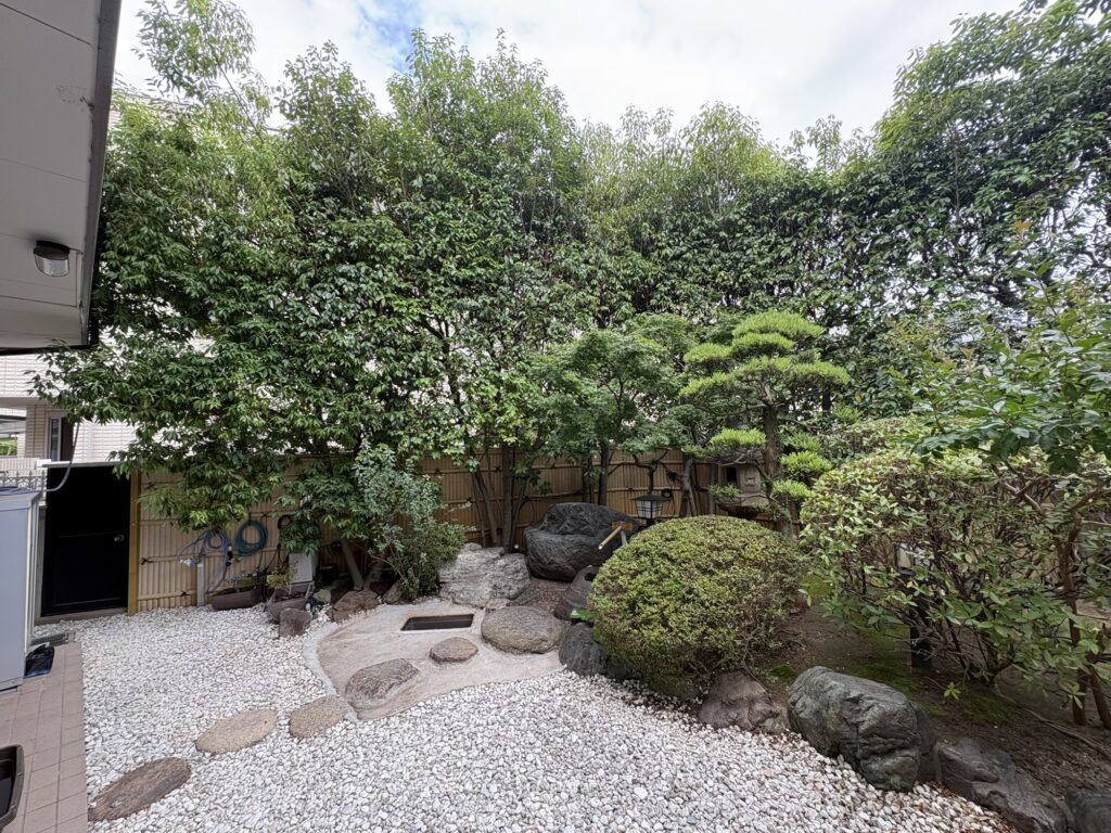 西宮市で植木屋によるカシノキ生垣・ツツジ・さつきの剪定作業後の綺麗になった様子
