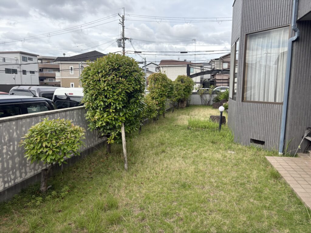 伊丹市で植木屋によるレッドロビンの剪定と芝刈り作業前の様子