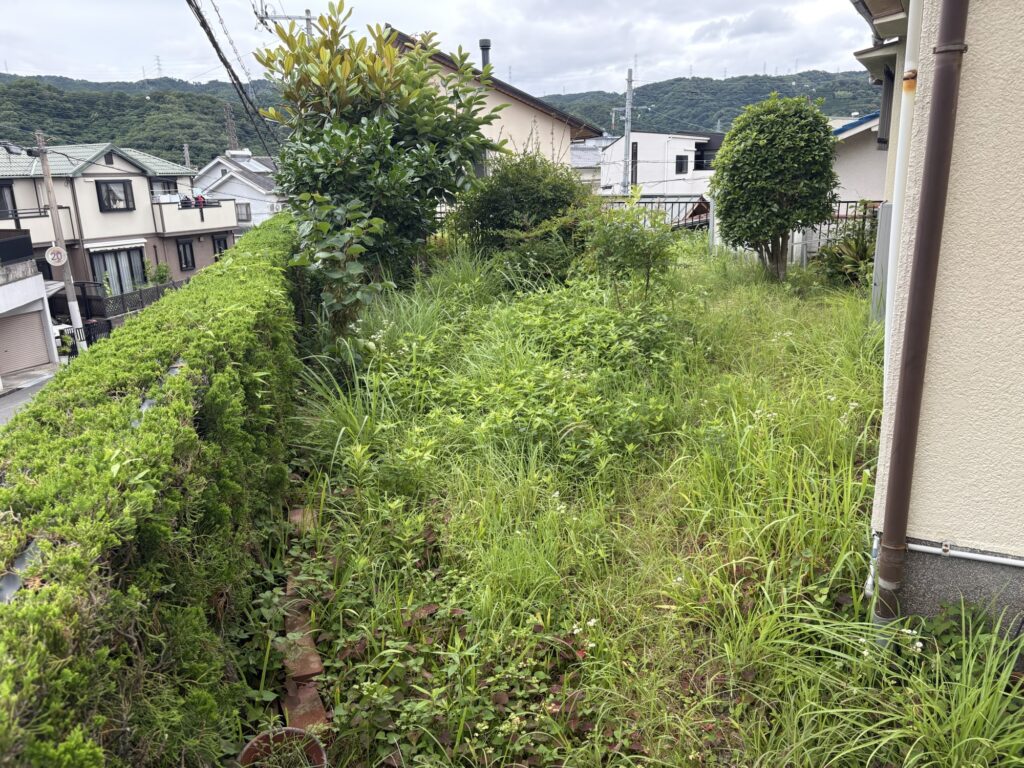 高槻市で植木屋による草刈り作業前の様子