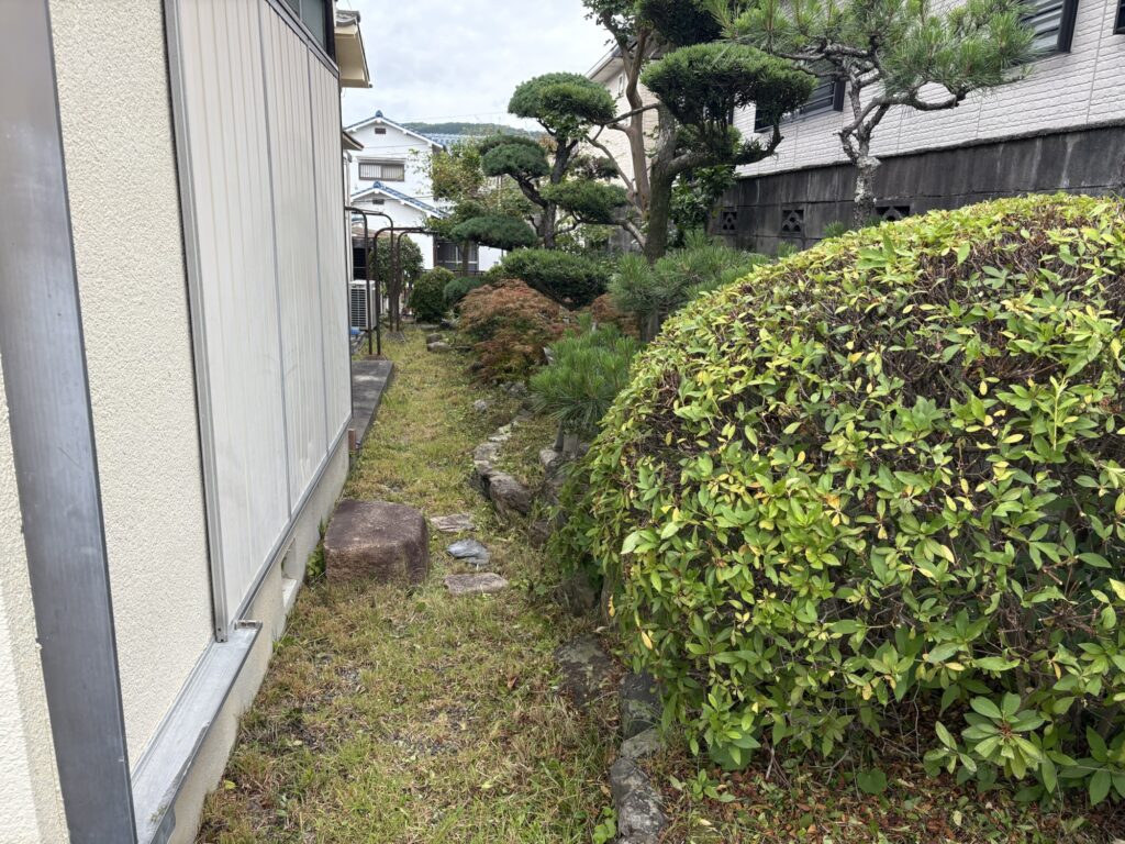 高槻市で植木屋によるツツジの刈り込み剪定作業後の綺麗になった様子