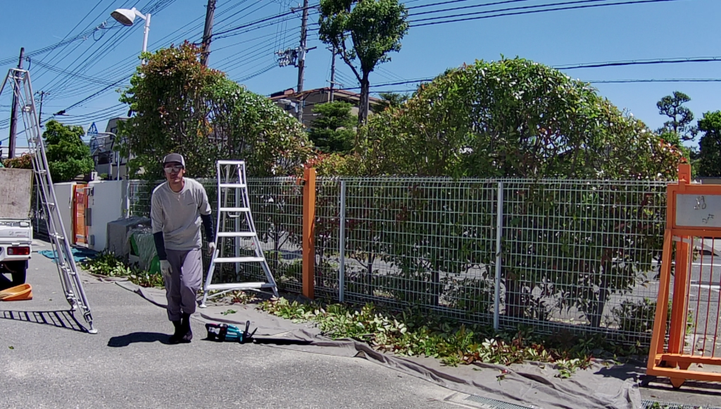 西宮市の幼稚園で植木屋による庭木の剪定作業中の様子