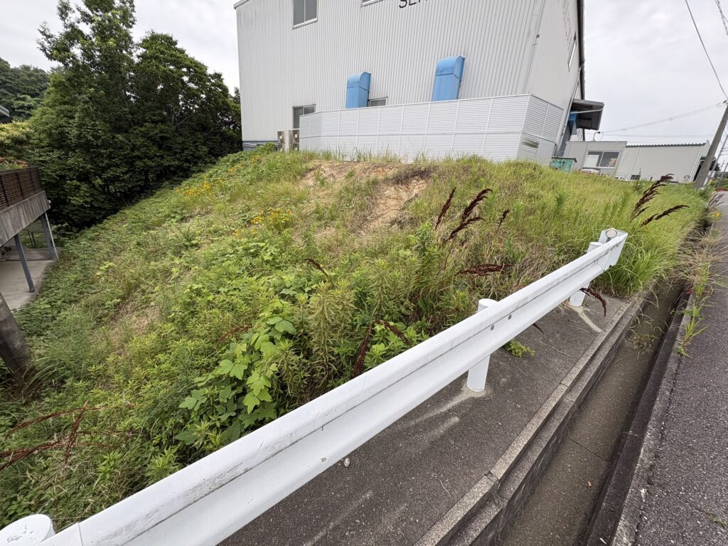 兵庫県で尼崎の植木屋による草刈り作業前の様子