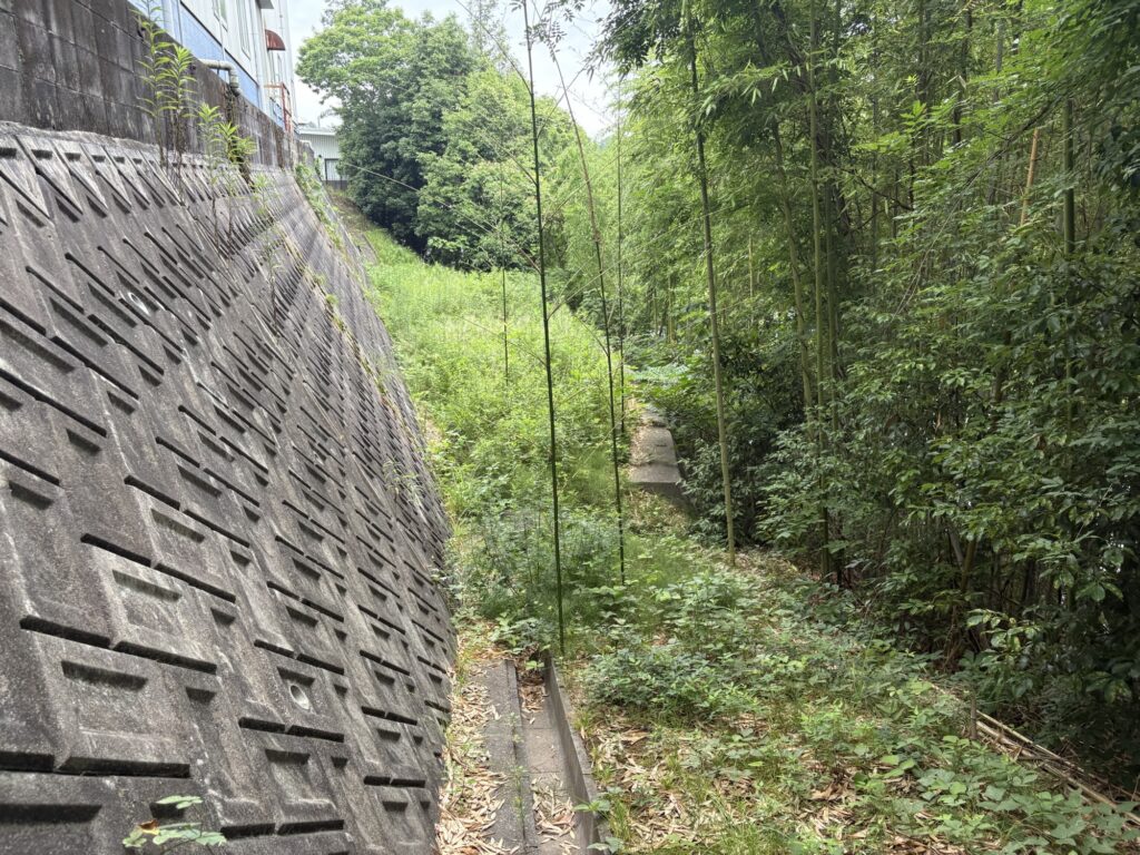 兵庫県三木市で尼崎の植木屋による草刈り作業前の様子