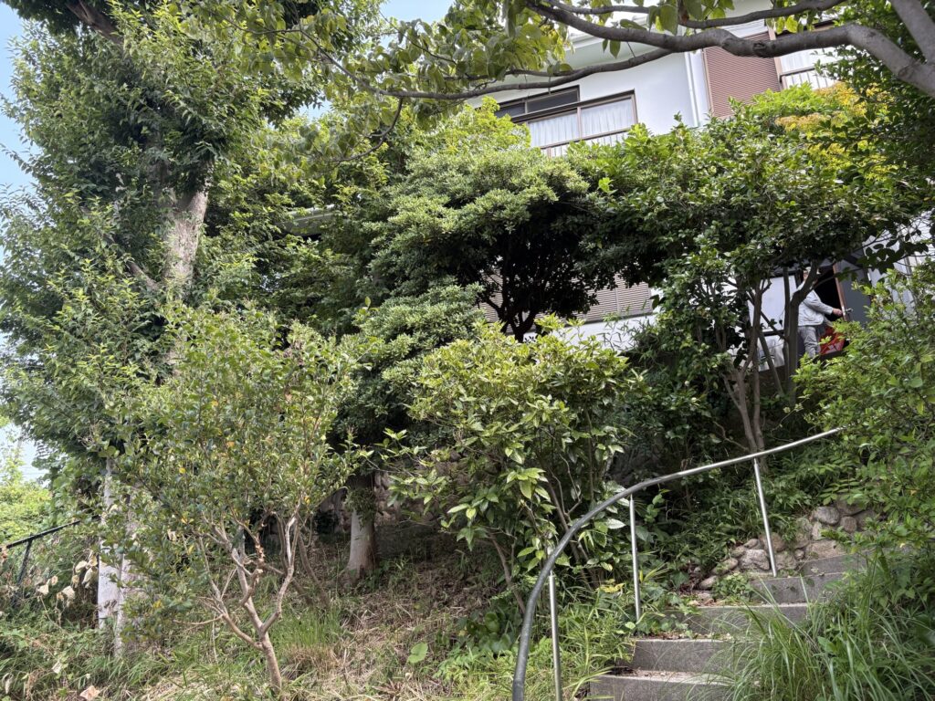 西宮市で植木屋による庭木の剪定作業前の様子