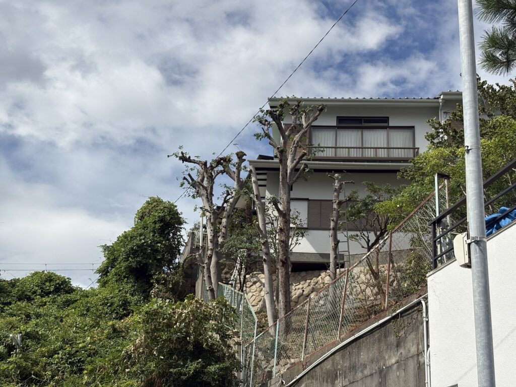 西宮市で植木屋によるえのき等剪定作業後の綺麗になった様子